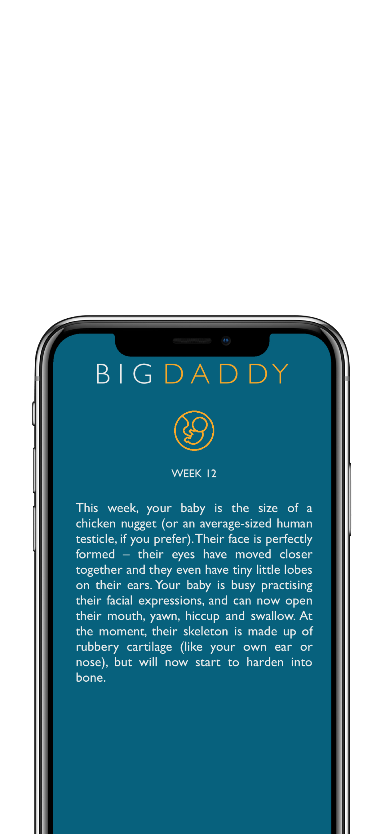 A Big Daddy weekly baby development update